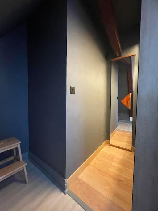 Apartamento Duplex Bord De L'Eure - Parking Inclus - Jolie Vue Sur La Cathedrale Chartres Exterior foto